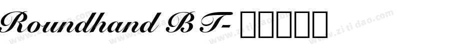 Roundhand BT字体转换